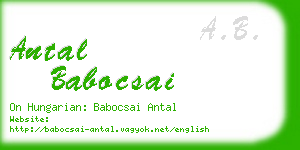 antal babocsai business card